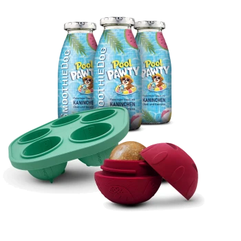 Drei "Pool Pawty"-SmoothieDog-Flaschen hinter einer türkisfarbenen 4-fach-Silikonform und einem roten Leckerli-Ball mit einem Keks darin.