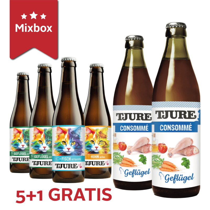 Tjure Mix-Box Katze