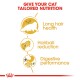 Infographic promoting tailored nutrition for cats, highlighting benefits: long hair health, hairball reduction, and digestive performance.