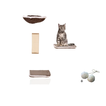 Gemütliches Katzenbett-Set mit einer plüschigen braunen Hängematte, einem Kratzbaum, einer flachen Matte und einer grauen getigerten Katze, die auf der Matte mit zwei Spielbällen ruht.
