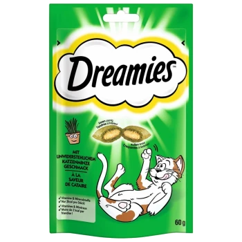 Grüne Verpackung von Dreamies Katzenleckerlis mit einer verspielten Cartoon-Katze, mit Text, der den unwiderstehlichen Katzenminzgeschmack und die ernährungsphysiologischen Vorteile hervorhebt.