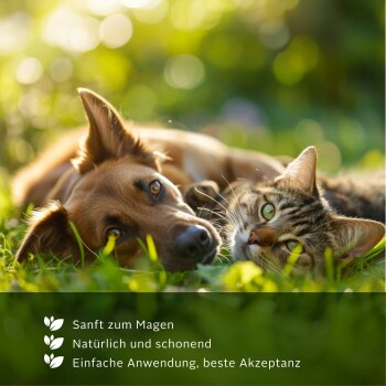 Ein brauner Hund und eine getigerte Katze ruhen auf grünem Gras mit dem Text: "Sanft zum Magen, natürlich und mild, einfach zu verwenden, beste Akzeptanz."