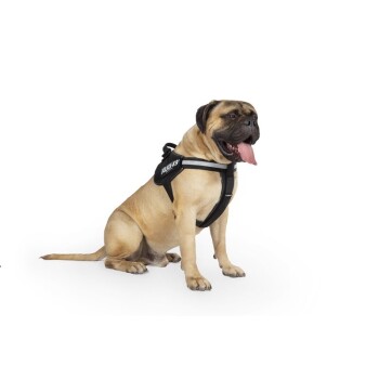 TRIXIE Julius-K9 Power Harness for Dogs Size 0-4