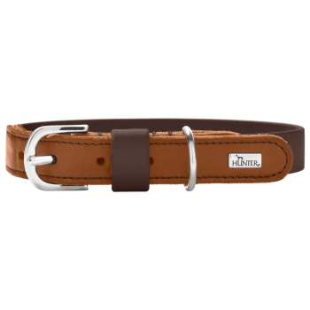 Zweifarbiges braunes Lederhalsband mit silberner Schnalle und D-Ring, abgestepptem Rand und Metallanhänger mit 'HUNTER'-Logo.