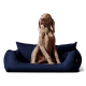 Ein brauner Hund, der aufrecht auf einem marineblauen Hundebett sitzt und neugierig zur Seite schaut.
