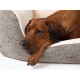 Ein entspannter brauner Hund, der seinen Kopf auf einem gemütlichen, grauen Hundebett mit einem weichen, weißen Innenraum ruht.