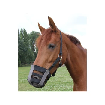 Eine Nahaufnahme eines braunen Pferdes mit einer schwarzen und grauen Schnauze, vor einem grünen Grasfeld und Bäumen im Hintergrund.