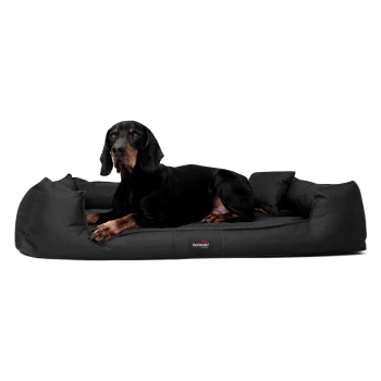 Ein elegantes schwarzes Hundebett mit einem hellbraunen Hund, der darauf liegt, begleitet von dem Text "INKLUSIVE" und "MATRATZENSCHONER GIBT'S OBENDRAUF."