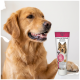 Chien doré assis posant la patte près d'un tube de dentifrice pour animaux étiqueté « ZAHNCREME / TOOTHPASTE » avec image de chien et bouchon rose.