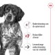 Close-up van een serieuze bruin-witte hond met tekst: "Spierondersteuning," "Natuurlijke verdediging," "Levenslange vitaliteitssteun."
