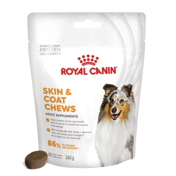 Royal Canin Skin & Coat Chews pouch with collie image and one chew; visible text "ROYAL CANIN", "SKIN & COAT CHEWS", "240 g".