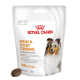 Royal Canin Skin & Coat Chews zakje met afbeelding van een collie en één kauwtablet; zichtbare tekst 'ROYAL CANIN', 'SKIN & COAT CHEWS', '240 g'.