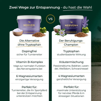Zwei violette NERVEN PFERDEGOLD Ergänzungsfuttermittel-Dosen für Pferde mit deutschem Vergleich: 'ohne Tryptophan' vs. 'Beruhigungs-Champion'.