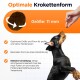 Hundefutter Lachs 20 kg