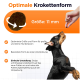 Hund greift nach Trockenfutter, mit Text zur optimalen Trockenfuttergröße (11 mm) für alle Rassen und Tipps zum Übergang zu neuem Futter.