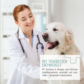 Ein Tierarzt in einem weißen Kittel mit einem Stethoskop interagiert mit einem Hund, mit Text über Qualitätsstandards.