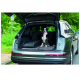 Ein glücklicher schwarz-weißer Hund sitzt im hinteren Teil eines SUVs auf einer plüschigen Matte, umgeben von Grün und einem Verkehrsschild im Hintergrund.