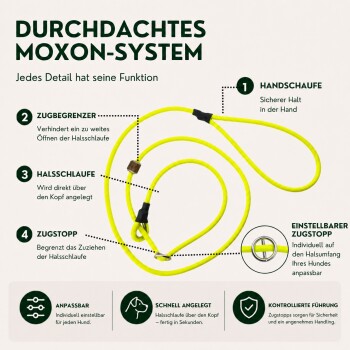 Gelbes verstellbares Hundehalsband mit Metallringen und einem Holzperlendetail vor weißem Hintergrund.