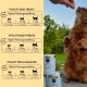 Beauty-Set für Katzen - 4-teiliges Haut-, Fellpflege- und Verwöhnprogramm