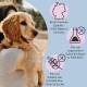 Eine Person hält einen Golden Retriever Welpen, der hochwertiges deutsches Haustierfutter ohne Zusatzstoffe, Getreide, Gluten und Zucker bewirbt.