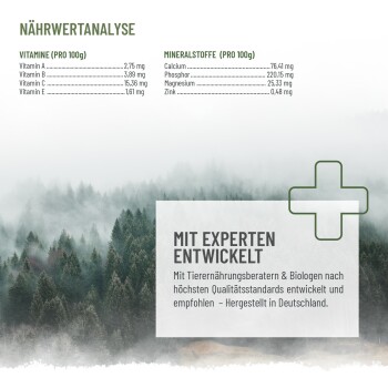 Schüssel mit rohen Fleischstücken auf einem Holztisch, mit Fütterungsempfehlungen auf Deutsch für Welpen, Erwachsene und Senioren.