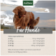 Ein brauner Hund steht im Freien mit einem bewölkten Himmel im Hintergrund. Der Text enthält Fütterungsempfehlungen für Hunde basierend auf dem Gewicht.