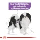 Illustratie van een zwart-witte hond, gelabeld "Voor gesteriliseerde/gecastreerde volwassen honden," wat aangeeft dat het geschikt is voor gecastreerde volwassen honden.