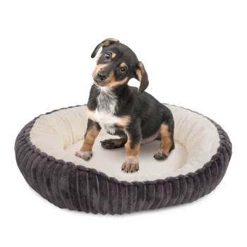 Hundebett Cameron S Ein kleiner Hund sitzt in einem plüschigen, runden Haustierbett mit einem dunkelgrauen Äußeren und einem weichen, cremefarbenen Inneren.