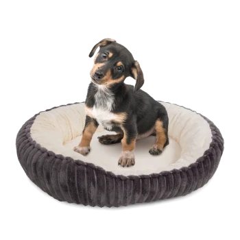 Ein kleiner Hund sitzt in einem plüschigen, runden Haustierbett mit einem dunkelgrauen Äußeren und einem weichen, cremefarbenen Inneren.