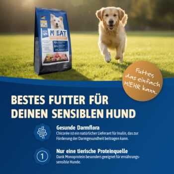 Golden Retriever läuft auf Gras neben einem Beutel M!EAT Hundefutter, gekennzeichnet für sensible Hunde mit deutschem Text.