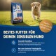 Golden Retriever läuft auf Gras neben einem Beutel M!EAT Hundefutter, gekennzeichnet für sensible Hunde mit deutschem Text.