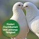 Zwei weiße Tauben, die sich aneinander kuscheln, mit einem grünen runden Etikett, das 'Fördert Fruchtbarkeit und Leistungsfähigkeit' in weißem Text angibt.