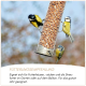 Drei kleine Vögel sitzen auf einem mit Erdnüssen gefüllten Vogelfutterspender mit deutscher Fütterungsempfehlung darunter.