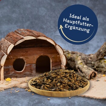 Hölzernes Haustierhaus mit einer Schale getrockneter Insekten und einem deutschen Etikett mit der Aufschrift „Ideal als Hauptfutter-Ergänzung“.
