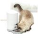 Eine flauschige Katze, die aus einer grauen Schüssel mit Trockenfutter frisst, neben einem weißen Futterspender mit einem verspielten Katzenkopf-Design.