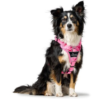 Ein schwarz-brauner Hund trägt ein pinkes Camouflage-Geschirr mit dem Markennamen "HUNTER", der prominent auf der Brust angezeigt wird.