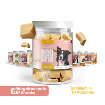 Ein Glas mit "KAU DAS" gefriergetrockneten Hühner-Leckerlis für Hunde mit einem pinken Design und einem schwarz-weißen Hund, unter anderen Geschmacksvarianten.