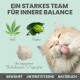 Eine flauschige Katze mit herausgestreckter Zunge, umgeben von Hanfblättern und Hopfen, mit "L-Tryptophan" und Häkchen für "Bewährt", "Unterstützend", "Natürlich."