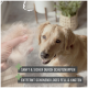 Eine Person hält Hundepelz, während ein Golden Retriever zuschaut. Text: "Sanft & sicher durch Schutznoppen" und "Entfernt loses Fell & Knoten."