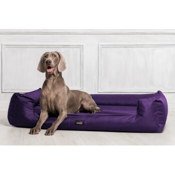 Ein schlanker, grauer Hund liegt auf einem lila Haustierbett mit einem Schild, das "tierlando" liest, vor einem hellen Holzboden und einer weißen Wand.