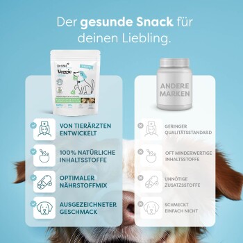 Anzeige für gesunde Hundesnacks mit Dr. Sam's Veggie Bites, die Vorteile wie 100% natürliche Zutaten und eine vom Tierarzt entwickelte Formel hervorhebt.