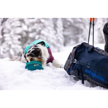 Ein Hund in einem türkisfarbenen und lila Wintermantel schnüffelt an einer blauen Ruffwear-Schüssel in einer verschneiten Landschaft, mit einem Rucksack in der Nähe.