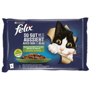 Eine verspielte schwarz-weiße Katze schaut durch eine aufgerissene Verpackung für Felix Katzenfutter, mit dem Etikett 'So gut wie es aussieht' und 'in Gelee.'
