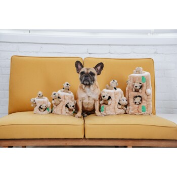 Ein Französischer Bulldogge sitzt auf einer gelben Couch, umgeben von plüschigen Spielzeugbäumen, aus denen kleine Löwenfiguren hervorlugen.