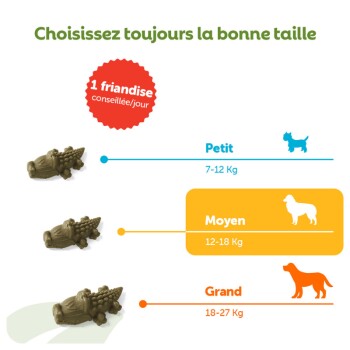 Guide des tailles de friandises à mâcher pour chiens : 1 friandise conseillée/jour ; Petit 7–12 kg, Moyen 12–18 kg, Grand 18–27 kg