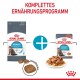 Royal Canin Urinary Care Tiernahrung Verpackung mit Trockenfutter und Nassfutter, mit "Komplettes Ernährungsprogramm" und "Proven Results in 10 Days."