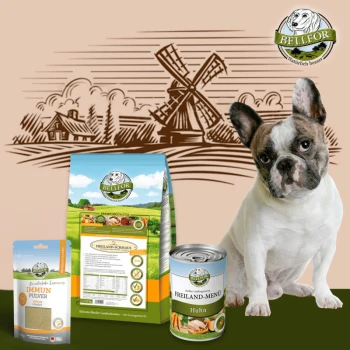 Ein Französischer Bulldogge sitzt neben BELLEFOR Tiernahrung: Tüte "FREILAND-SCHMAUS", Dose "FREILAND-MENÜ Huhn" und Paket "IMMUN PULVER" mit einer Windmühle.