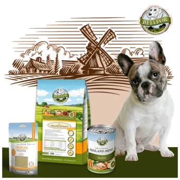 Ein Französischer Bulldogge sitzt neben BELLEFOR Tiernahrung: Tüte "FREILAND-SCHMAUS", Dose "FREILAND-MENÜ Huhn" und Paket "IMMUN PULVER" mit einer Windmühle.