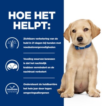 Een Labrador puppy in een blauwe halsband naast tekst over de voordelen van een speciaal dieet voor honden met voedselgevoeligheden.