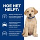 Een Labrador puppy in een blauwe halsband naast tekst over de voordelen van een speciaal dieet voor honden met voedselgevoeligheden.